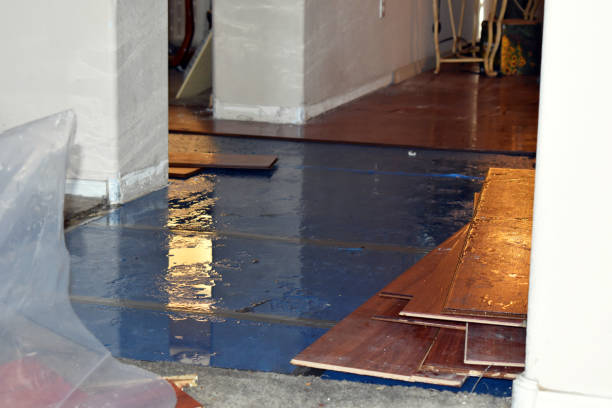 Professional Water Damage Restoration technician working in Irving, TX